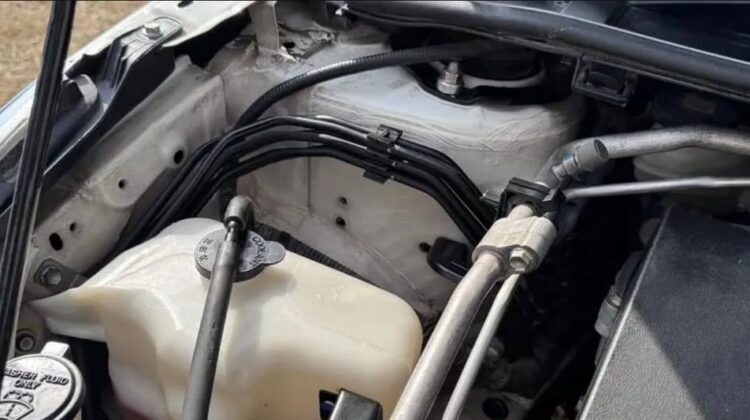 Toyota Corolla Altis 2020